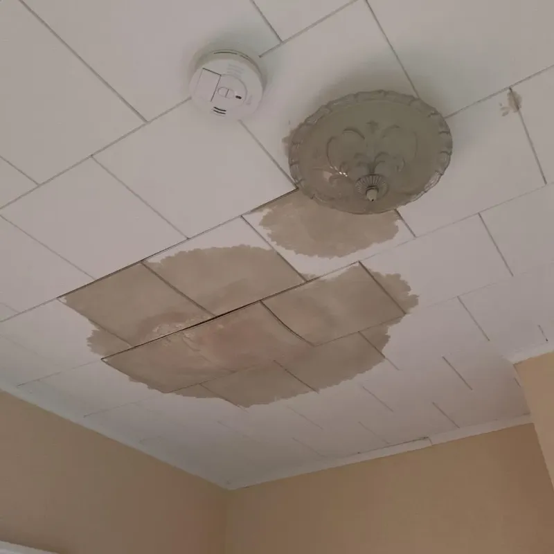 Ceiling Water Damage Repair in Hiland Park, FL