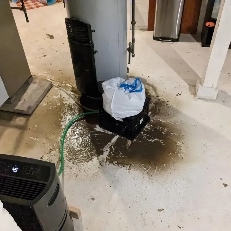 Sewage Backup Cleanup Service in Hiland Park, FL